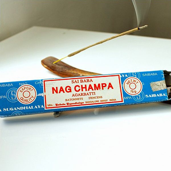 Boîte de 12 cônes d'encens naturel Indien Nag Champa avec 1 porte