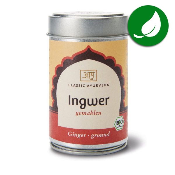Ginger powder organic Indian spice