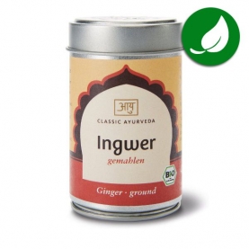 Ginger powder organic Indian spice