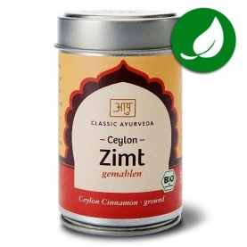 Cannelle en poudre bio épice indienne