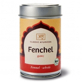 Fennel seeds saunf organic Indian spice