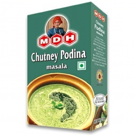 Chutney podina épices indiennes