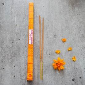 Encens indiens Goloka Nag champa 8g