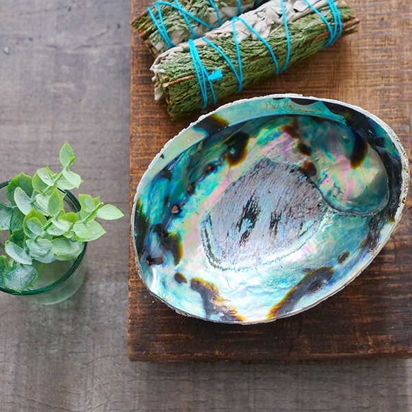 Abalone shell incense holder