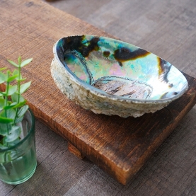Abalone shell incense holder