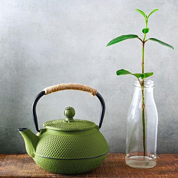 Tetsubin teapot Cast iron green 600ml