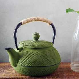 Tetsubin teapot Cast iron green 600ml
