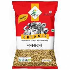 Fennel seeds saunf organic Indian spice 100g