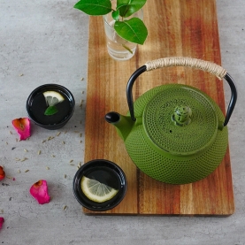 Tetsubin teapot Cast iron green 600ml