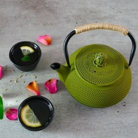 Tetsubin teapot Cast iron green 600ml