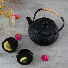 Tetsubin teapot Cast iron black 600ml