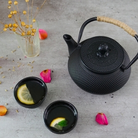 Tetsubin teapot Cast iron black 600ml