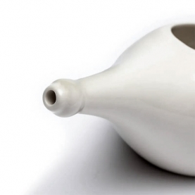 Indian neti pot