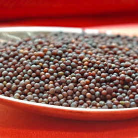 Mustard Black seeds