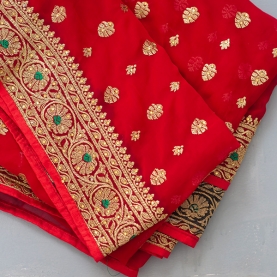 Indian embroidered saree