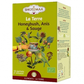 Tisane indienne biologique