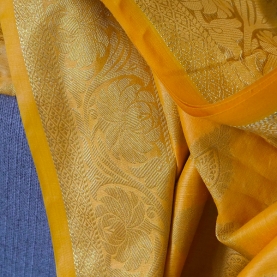 Indian sari