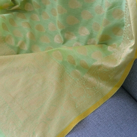 Indian cotton saree