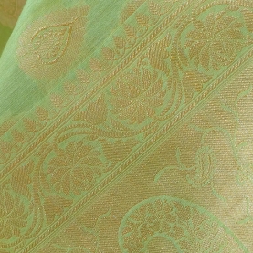 Indian embroidered saree