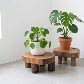 https://www.pankaj-boutique.com-t/indonesian-wooden-low-pad.jpg