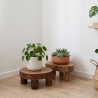 Indonesian handcrafted low teak pad display x2
