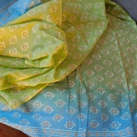 Indian printed cotton skirt