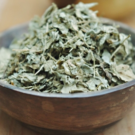 Fenugreek leaves or methi