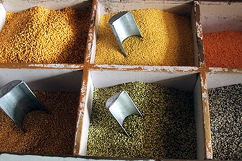 Wholesale Indian Spices And Grocery | Pankaj Indian Webstore
